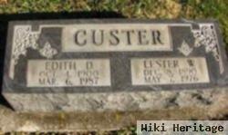 Lester William Custer