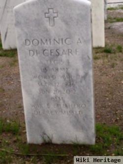 Dominic A Dicesare