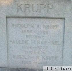 Pauline H Raphael Krupp