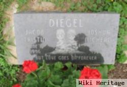 Joshua Michael Diegel