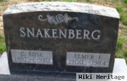 Elmer F. Snakenberg