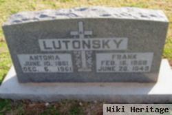 Antonia Schmidt Lutonsky