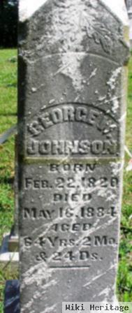 George W. Johnson