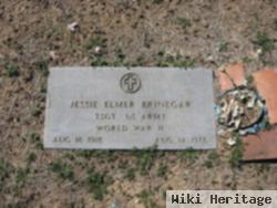 Jessie Elmer Brinegar