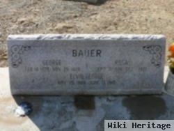 George Henry Bauer