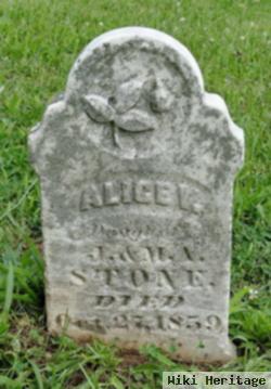 Alice V Stone