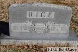 Gilbert W Rice