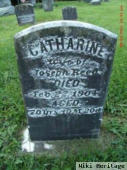 Catharine Reed