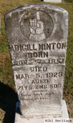 Nancy Abigail "babe" Ferguson Minton