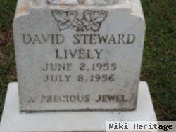 David Steward Lively