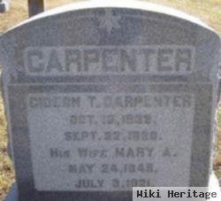 Mary Ann Hudson Carpenter