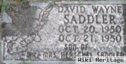 David Wayne Saddler