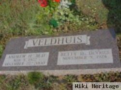 Andrew Harold Veldhuis