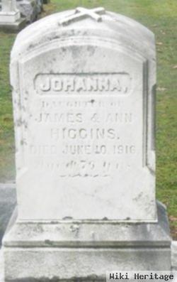 Johanna Higgins