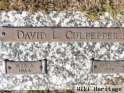 David L. Culpepper