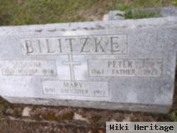 Peter J Bilitzke