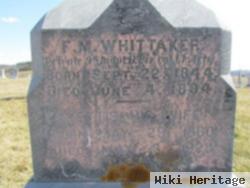 F M Whittaker