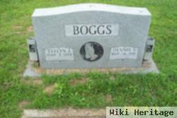 Dennis S. Boggs