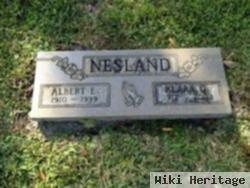 Albert E. Nesland