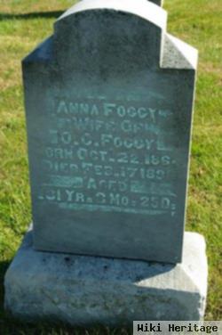 Anna Crawford Foggy