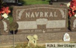 Steven F Navrkal