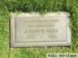 Joseph E Gold