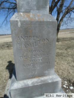 Andrew Hamilton