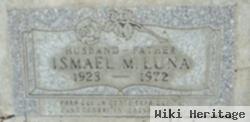 Ismael M Luna