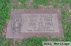 Lidia Devillanueva Valles