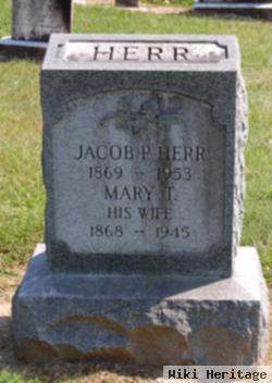 Jacob P Herr