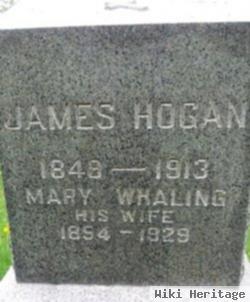 James Hogan