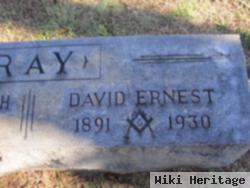 David Ernest Ray