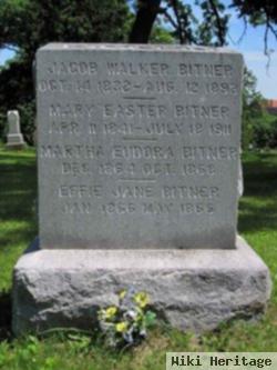 Martha Eudora Bitner