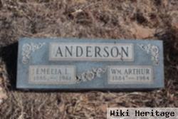 William Arthur Anderson