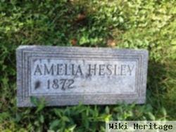 Amelia Hesley