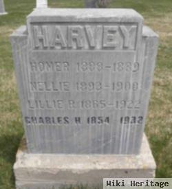 Nellie Harvey