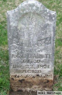 Alexander H. Barnett