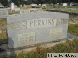 Sara E. Perkins