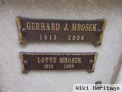 Gerhard J Mrosek