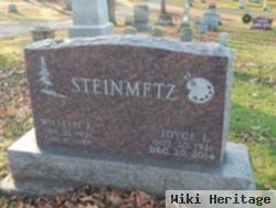 Joyce I Steinmetz