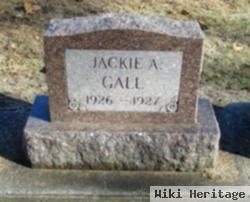 Jackie A Gall