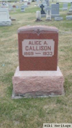 Alice A Callison