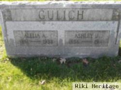 Alelia A. Guelich