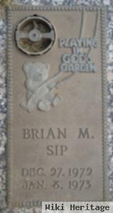 Brian M. Sip