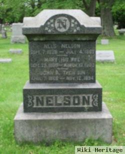John A Nelson
