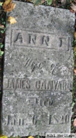 Ann Low Ganyard