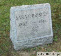 Sarah E. Mcdonald Brisley