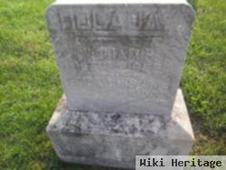 William H Holaday