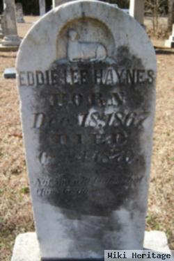 Eddie Lee Haynes