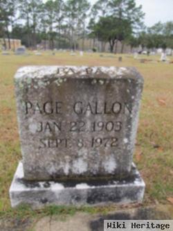 Page Gallon